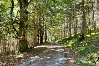 Der Lechweg