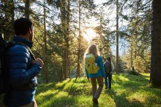 Wandern im Wald im Lechtal